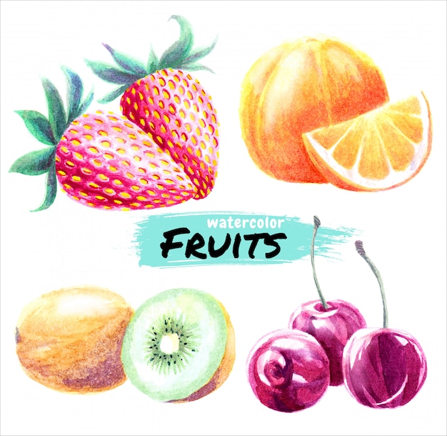 Vector watercolor fruits