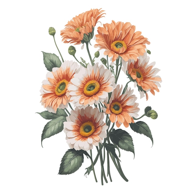 Watercolor Gerbera Daisy Clipart Floral Bouquet Garden