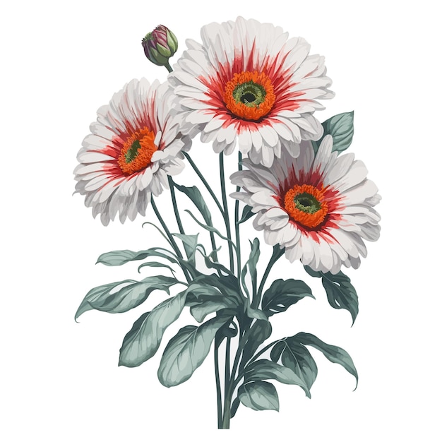 Watercolor Gerbera Daisy Clipart Floral Bouquet Garden