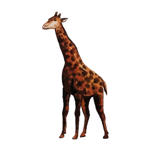 Vector watercolor giraffe