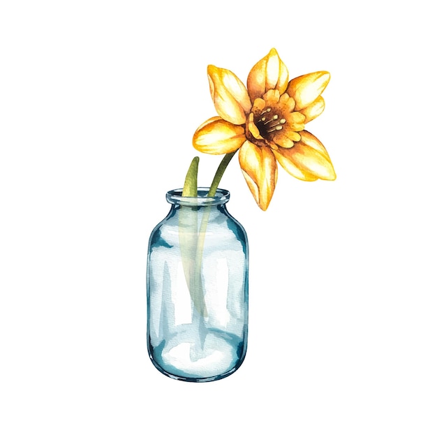 Watercolor glass vase with narcissus flower on white