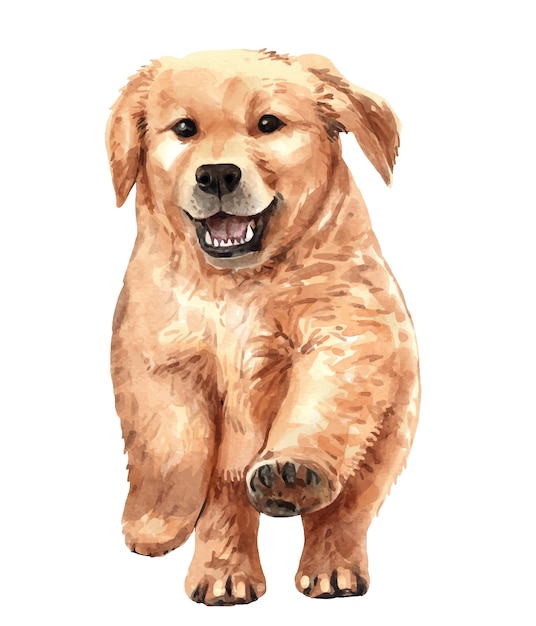 Vector watercolor golden retriever illustration