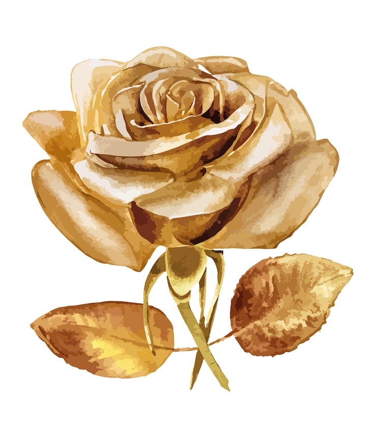 Vector watercolor golden rose floral bouquet isolated on white background