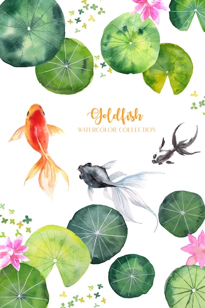 Watercolor goldfish swim through lotus and lotus leaf collection.