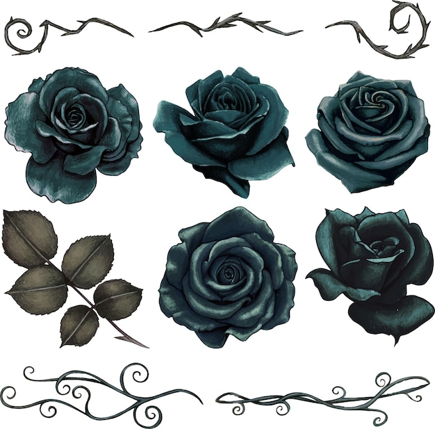 Watercolor gothic set of hand drawn black roses