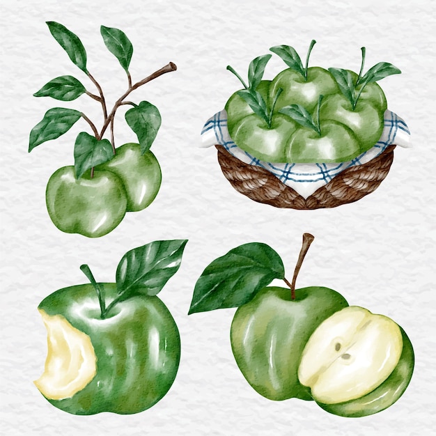 Набор акварельных зеленых яблок картинки