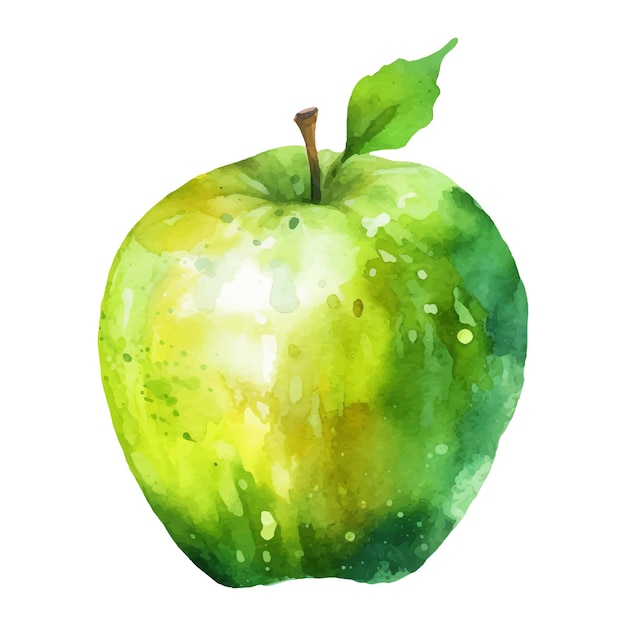 Watercolor Green Apple Illustration Handdrawn fresh food design element isolated on a white background