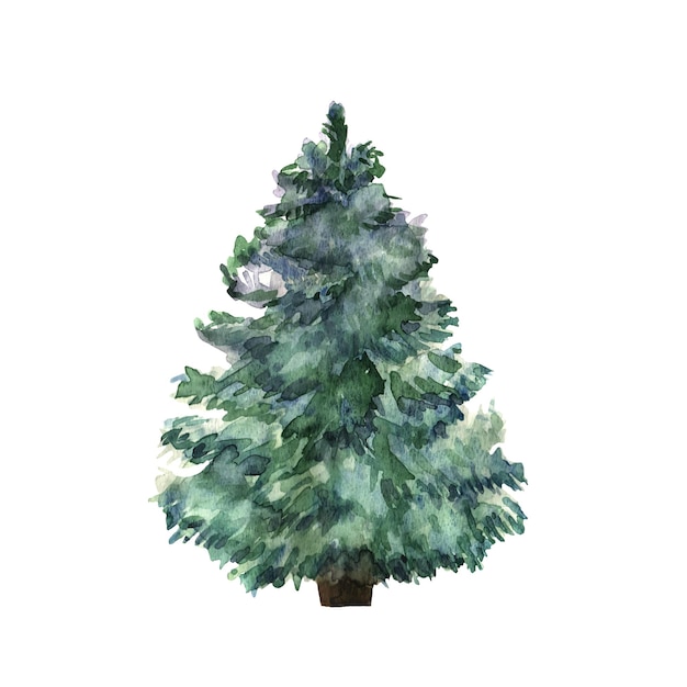 Watercolor green Christmas tree on white background Isolated ha