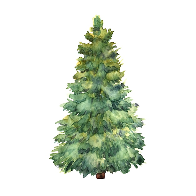Watercolor green Christmas tree on white background Isolated ha