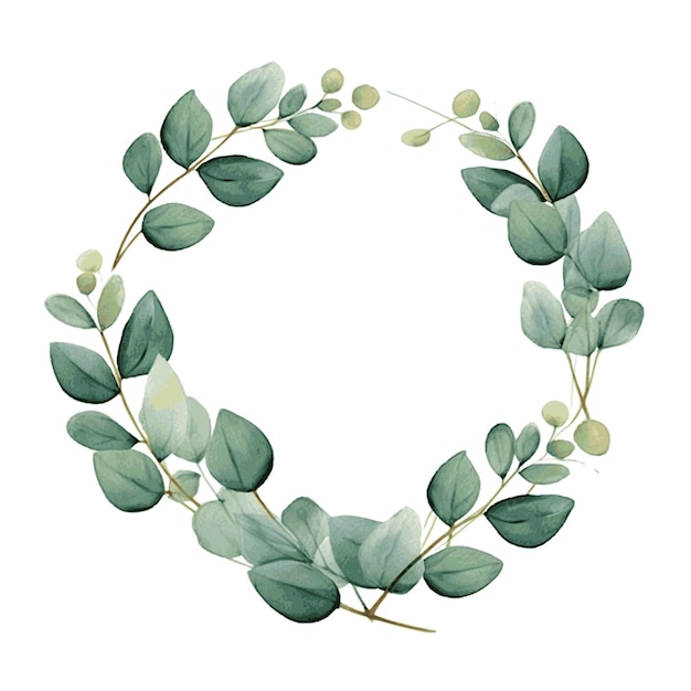 Watercolor green eucalyptus leaves and branches herb on white round frame greeting card decor set