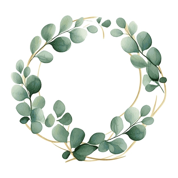 Vector watercolor green eucalyptus leaves and branches herb on white round frame greeting card decor