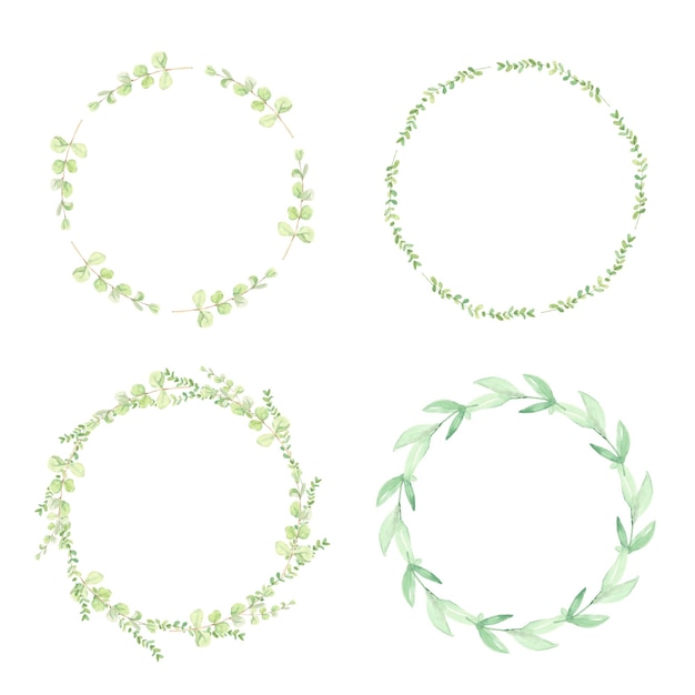 Watercolor green eucalyptus leaves circle wreath frame collection