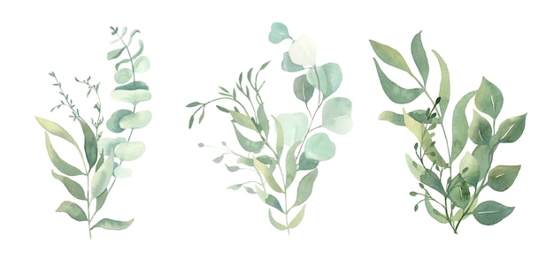 Vector watercolor green leaf brunches.