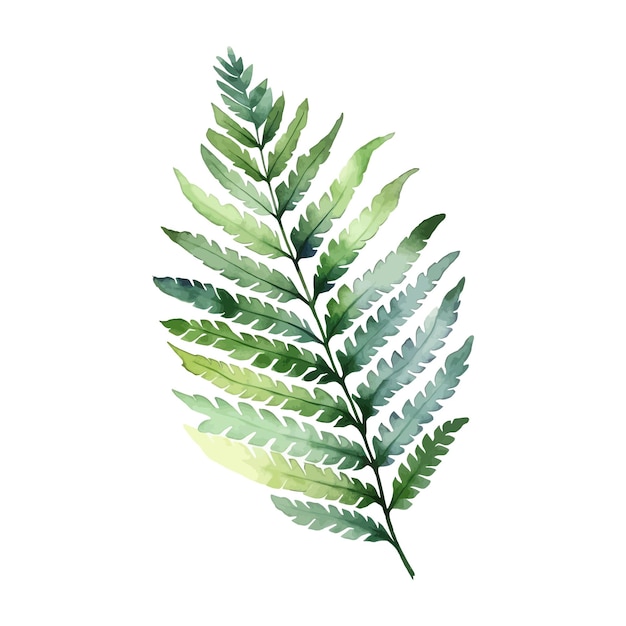 Vector watercolor green leaf illustration hand painted greenery branch