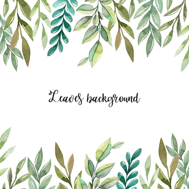 Vector watercolor green leaves background