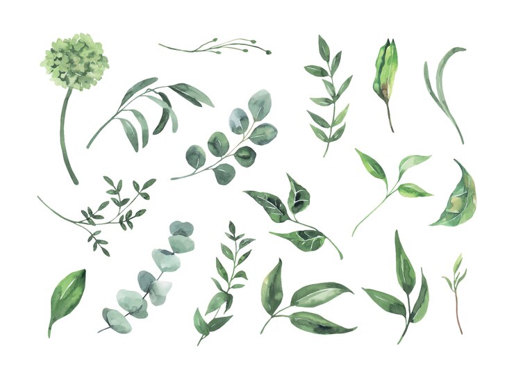 Watercolor green leaves collection