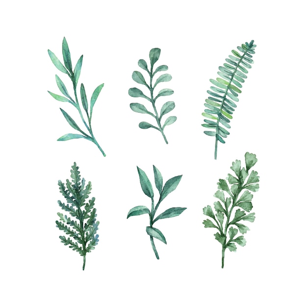 Vector watercolor green leaves collection