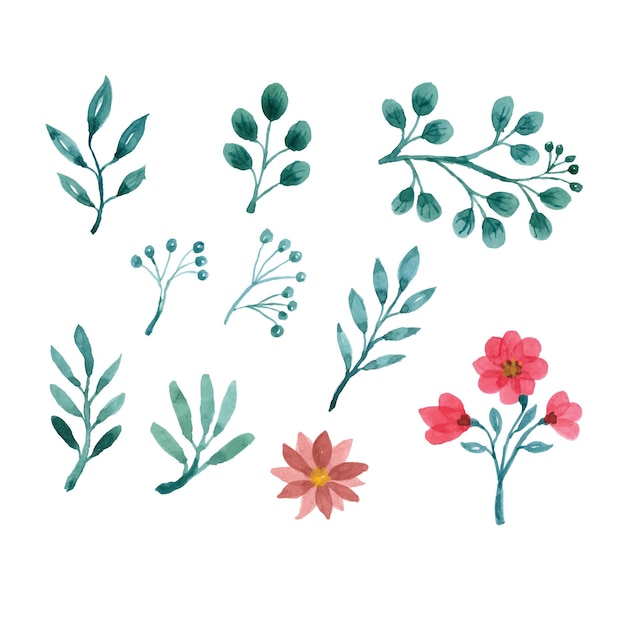 Watercolor Green leaves and flower illustration set.