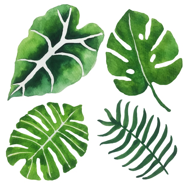 Vector watercolor green leaves.