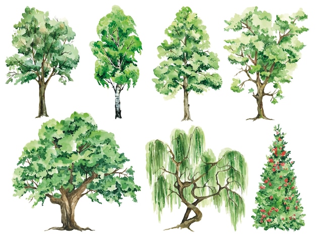 Vector watercolor green tree collection