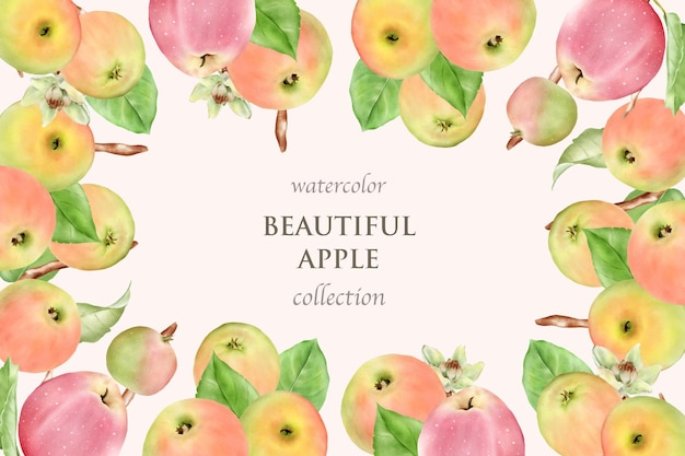 Watercolor hand drawn apple card set