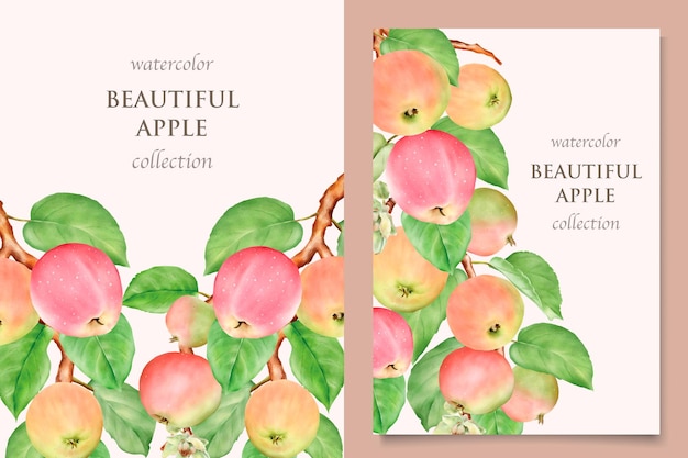 watercolor hand drawn apple card set