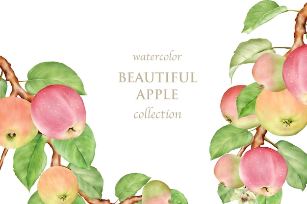 Watercolor hand drawn apple card set