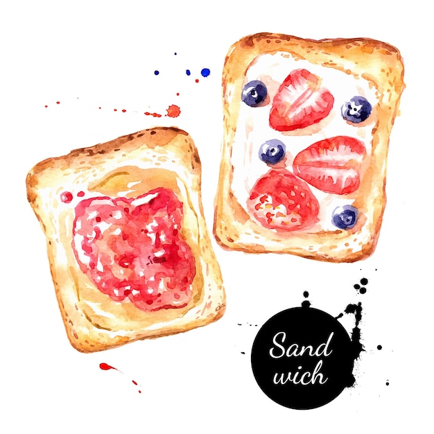 Watercolor hand drawn breakfast illustration of sandwiches with jam and berries sketch food isolated