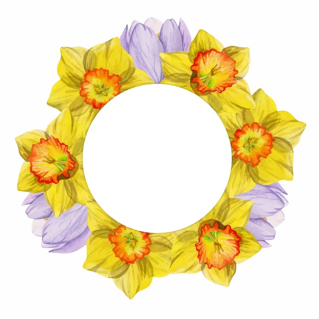 Watercolor hand drawn circle wreath with spring flowers daffodils crocus snowdrops leaves Isolated on white background Design for invitations wedding greeting cards wallpaper print textile