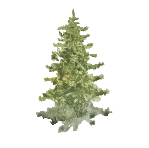 watercolor hand drawn forest conifer tree clipart
