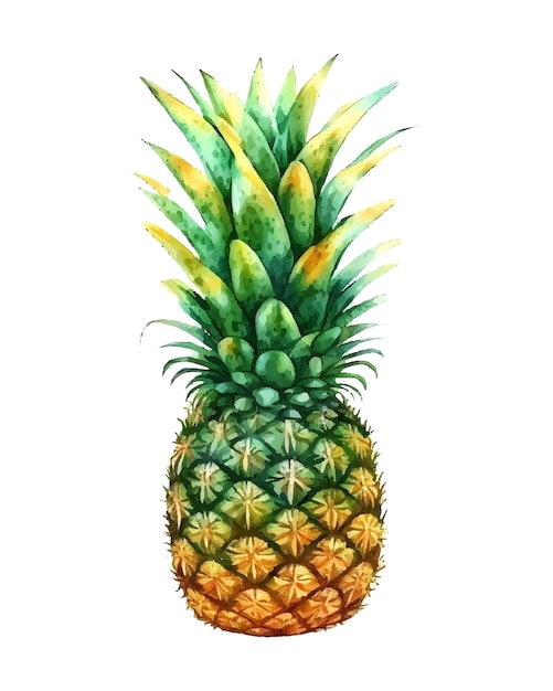 Illustrazione disegnata a mano dell'acquerello della siluetta isolata della frutta dell'ananas su un fondo bianco