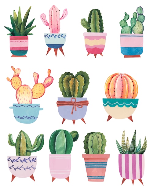 Watercolor hand-drawn illustration with cactus and succulents Watercolor houseplants on white background