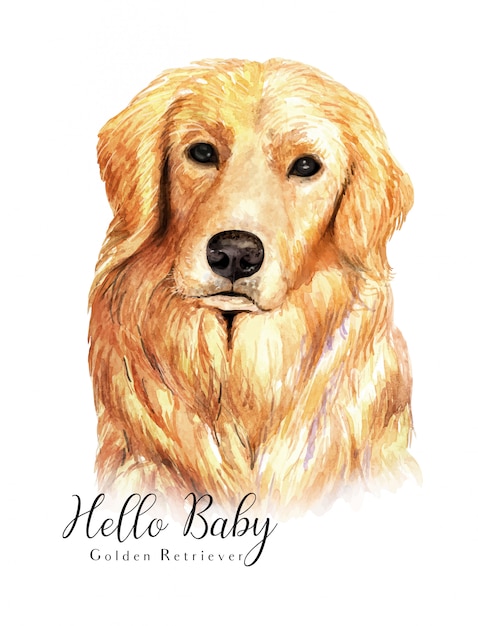 Vector watercolor hand-drawn portrait golden retriever dog