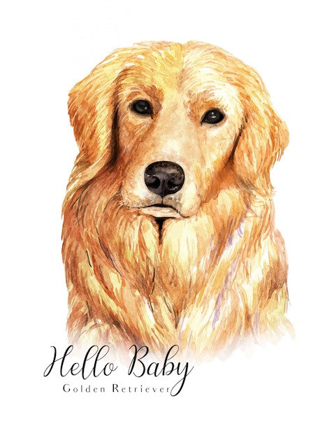 Cane di golden retriever ritratto disegnato a mano ad acquerello