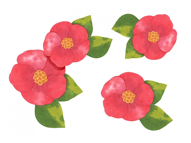 Vector watercolor hand drawn red flower