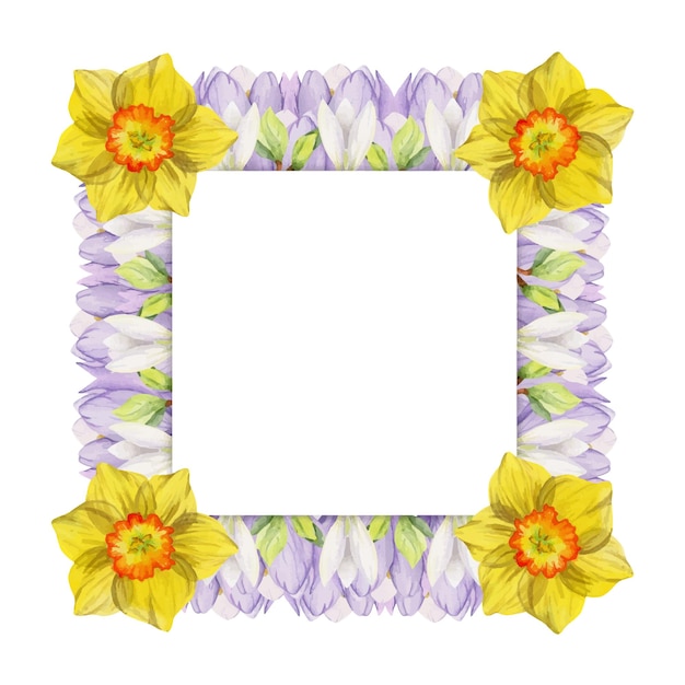 Watercolor hand drawn square frame with spring flowers crocus snowdrops daffodils leaves isolated on white background design for invitations wedding greeting cards wallpaper print textile