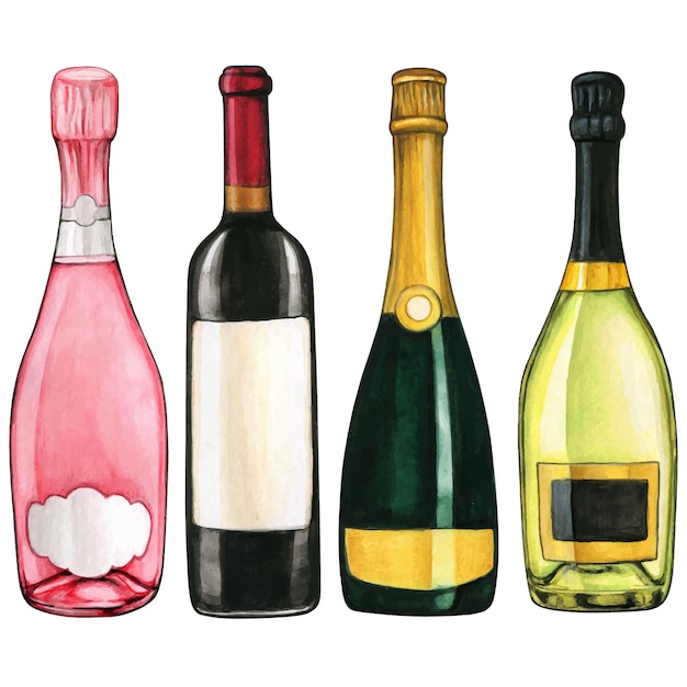 Vector watercolor hand drawn wine bottles with blank label