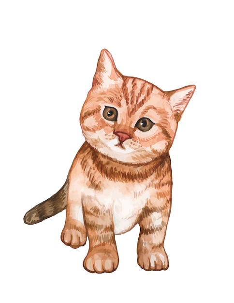 Vector watercolor hand painted cat illustration