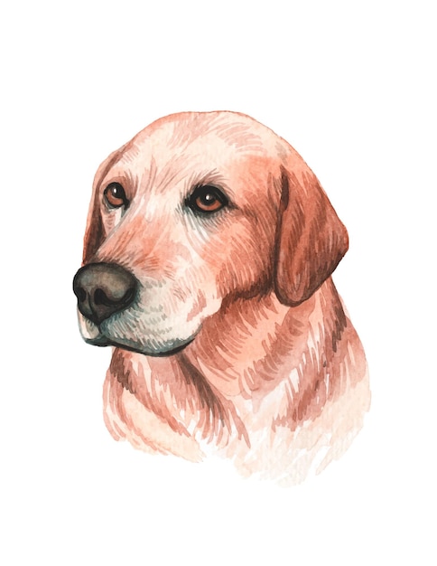 Vector watercolor hand painted cute dog illustration