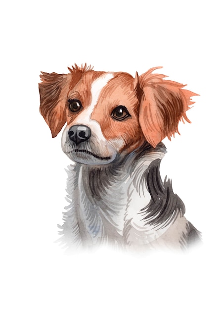 Watercolor hand painted cute dog illustration