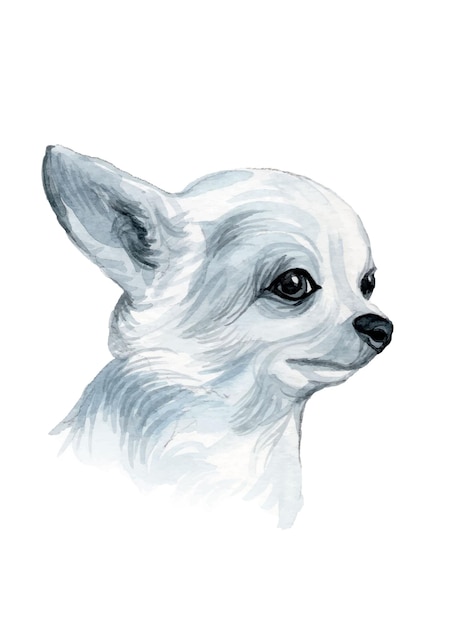 Vettore illustrazione del cane dipinta a mano dell'acquerello