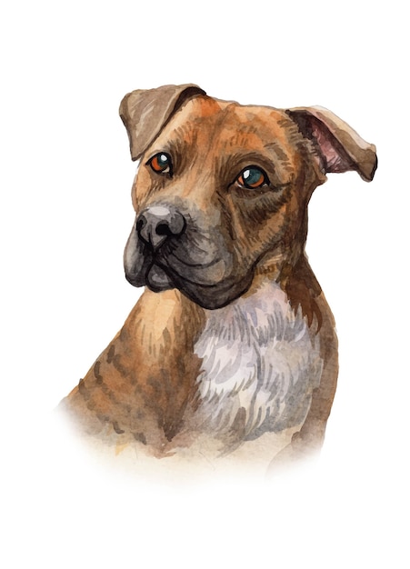 Vector watercolor hand painted dog portrait illustration