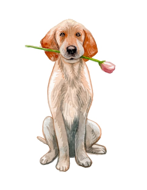 watercolor hand painted dog
