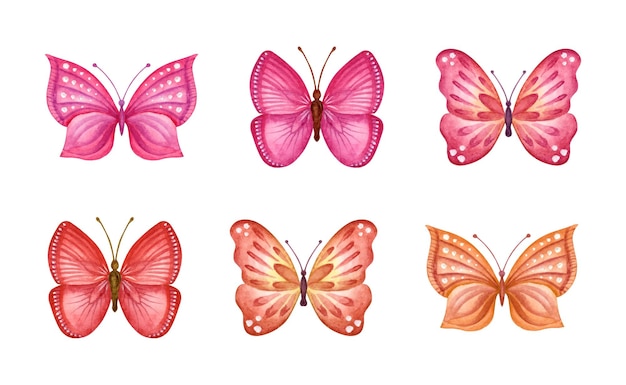 Vector watercolor hand painted spring butterflies set collection