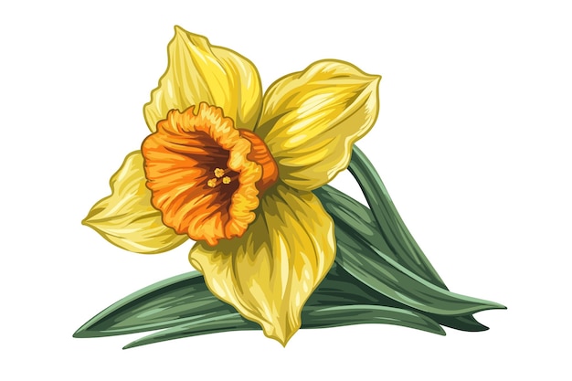 Illustrazione della pittura di arte di vettore del fiore dipinto a mano dell'acquerello
