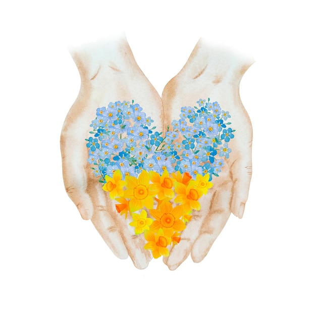 Watercolor handpainted illustration of open hands with ukraine heart