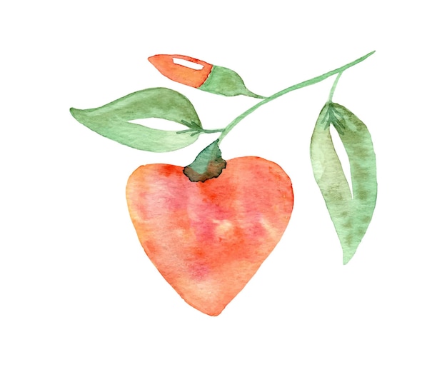 Watercolor heart illustration with leaves. Wedding or valentine cards design.