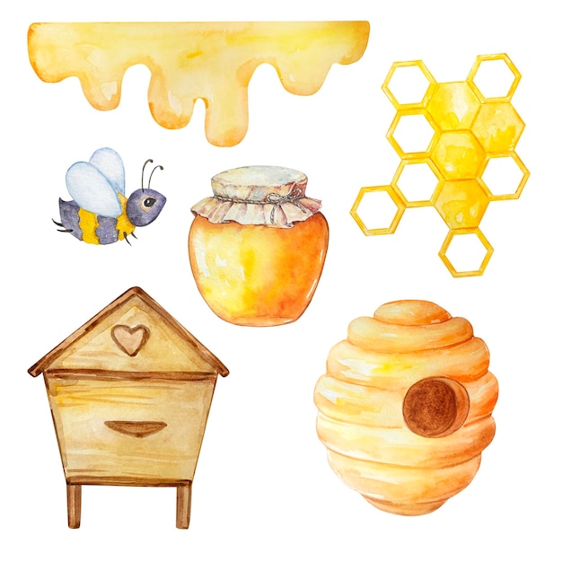 Watercolor honey set beehive honey bees and honeycombs