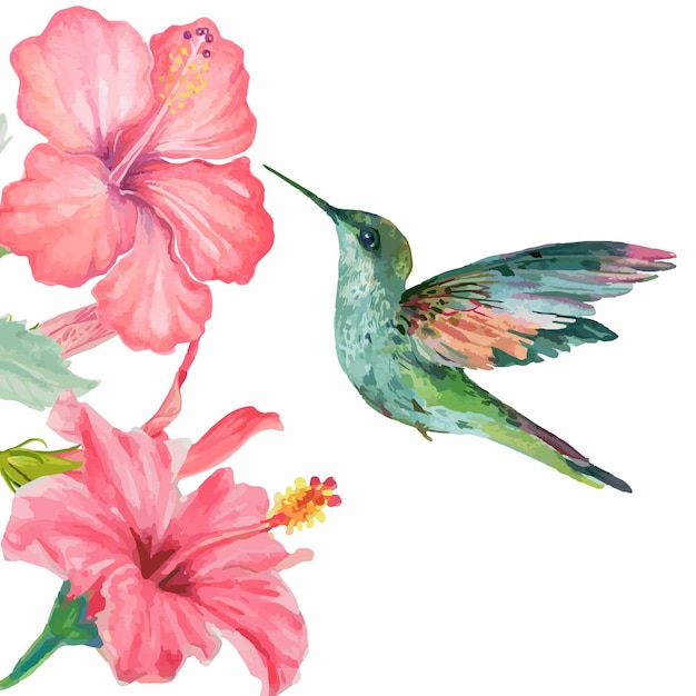 Watercolor humming bird and hibiscus flower