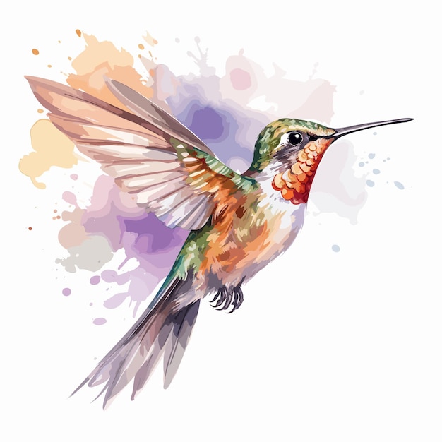 Watercolor hummingbird and flower